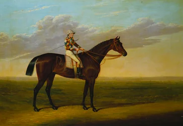 Bay dostihový kůň "Rockingham" pana Richarda Watta se Samem Darlingem na dostihové dráze