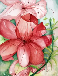 Tigerlily, 2007 (akvarel)