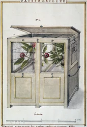 Kontejner na přepravu užitečných a zajímavých stromů, akvarel od Delahaye, podle Florindie ou Histoire physico-economique des vegetaux de la Torride (Fyzikálně-ekonomická historie rostlin z tropů)