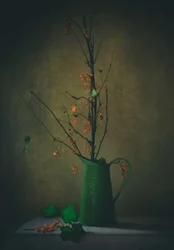 Temné botanické zátiší