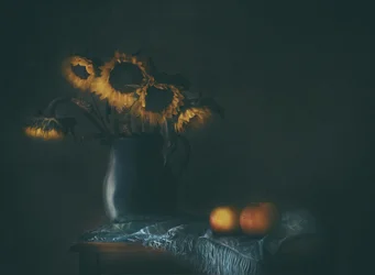 Melancholické slunečnice a jablka