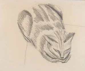 Spící kočka (tužka na papíře)