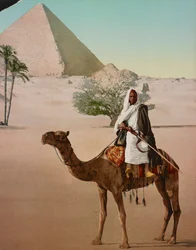 Beduín na velbloudu a Velká pyramida, Káhira, Egypt
