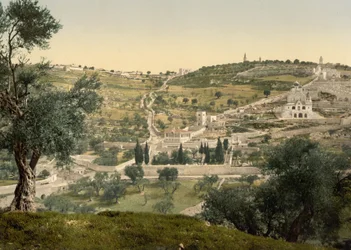 Olivová hora a Getsemanská hora, celkový pohled, Jeruzalém, kolem 1890-1900 (fotochromovaný tisk)