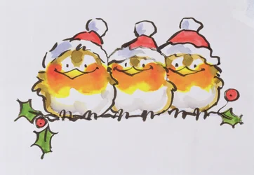 Christmas Robins (inkoust a wc na papíře)