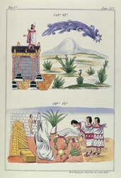 Čepice 63 a čepice 64, ilustrace z „Historia de las Indias de Nueva Espana y Islas de tierra firme“, s deskami Jules Desportes, Mexiko, 1867-80