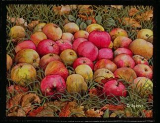 Durnitzhoferova jablka, 1993