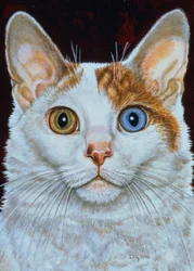 Minette, 1996 (akryl na panelu)