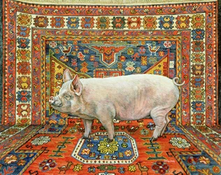 Singleton kobercové prase