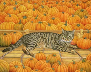 The Pumpkin-Cat, 1995 (akryl na panelu)