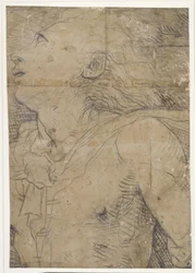 Mladík vzhlížející vzhůru (polopostava), fragment kartonu