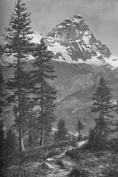 Matterhorn z italské strany, Forest of Brueil, 1917