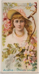 Acacia: Cudná láska, ze série Květinové krásy a řeč květin N75 pro Duk..., 1892.