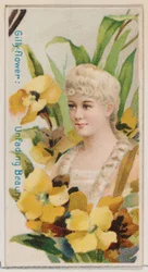 Gilly-flower: Unfading Beauty, ze série Květinové krásy a jazyk květin N7..., 1892.