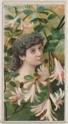 Zimolez: Věrnost, ze série Květinové krásy a řeč květin N75 pro D..., 1892.