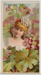 Primrose: Flirtování, ze série Květinové krásy a řeč květin N75 pro Du..., 1892.