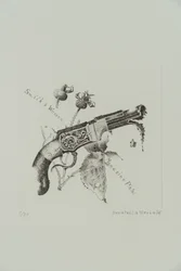 Pistole Smith and Wesson se zásobníkem