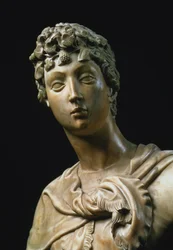 David, detail hlavy, 1408 mramorový detail 79334