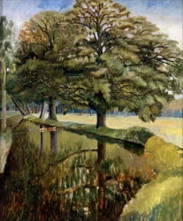 Řeka Pang nad Tidmarshem
