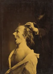 Údiv, omráčení, úžas, 1854-1856, vytištěno 1862.