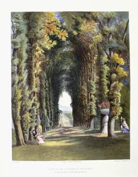 Vista“ v zahradách Teddesley, sídlo ctihodného lorda Hathertona, 1857