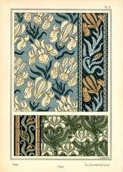 Iris
