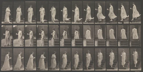 Pohyb zvířat. Elektrofotografické zkoumání... pohybů zvířat. Začátek..., 80. léta 19. století.