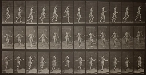 Animal Locomotion, Plate 174, 1887.