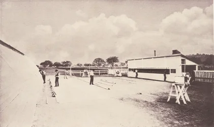 Kůň v pohybu, jak jej ukazuje okamžitá fotografie. Se studií o zvířatech..., 1881-1882.
