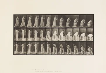 Talíř 205. Přenášení a sklápění s vázou, 1885