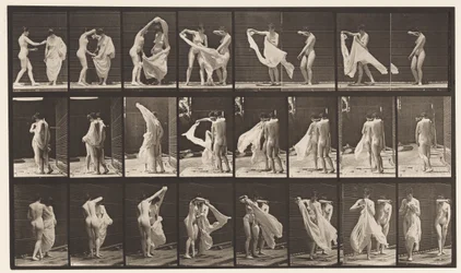 Talíř 429. Záchod; Two Models, 1 Disrobing 8, 1872-1885