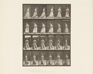 Talíř 48. Chůze a otáčení kytice v obou rukou, 1885