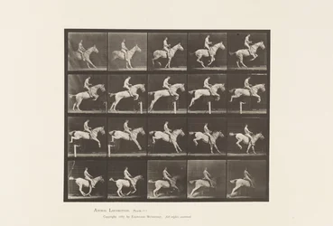 Talíř 642. Skok přes překážku; Sedlo; Jezdec, 105, nahý; Grey Mare, 1885