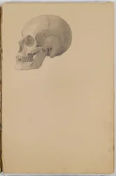 Anatomy Sketch Book, 1849 (skicář obsahující kresby v grafitu)