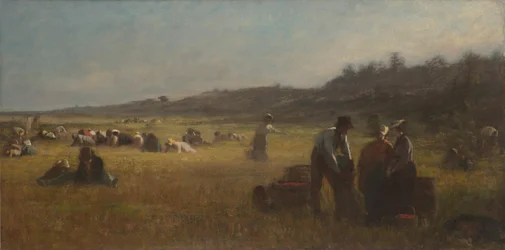 Sběrači brusinek, kolem 1878-79