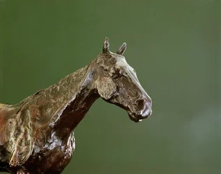 Hlava koně (bronz) (detail 335585)
