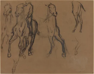 Studie koní, asi 1886 (uhel a grafit na hnědém papíře)