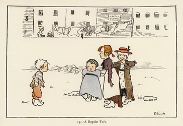 Obyčejný turek (barevné lito)