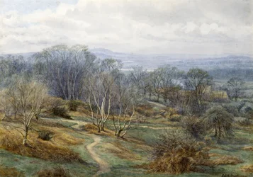 Hampstead Heath Looking Towards Harrow on the Hill, cca 1880 (wc na papíře)