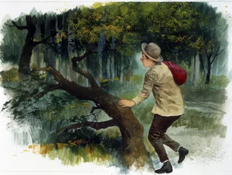 Dětská literatura : od Apenin po Andy. Mladý chlapec sám v lese (kresba)