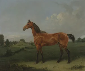 Bay Horse in a Field (olej na plátně)