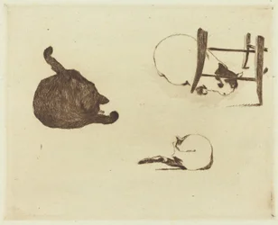 The Cats Les chats, 1869.