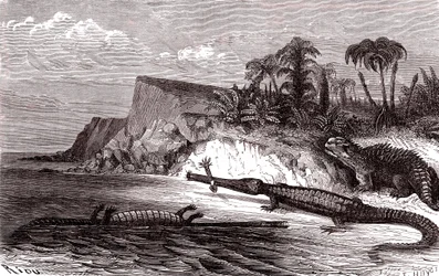 Teleosaurus a Hyleosaurus