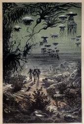 Mořské dno. Ilustrace Édouarda Rioua (1833-1900) k románu „Dvacet tisíc mil pod mořem“ od Julese Verna (1828-1905), 19. století, soukromá sbírka