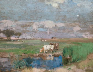 Suffolkské pastviny