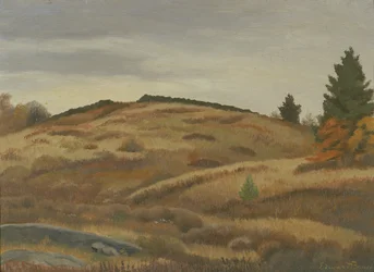 Podzimní pole, ca. 1926-1934.