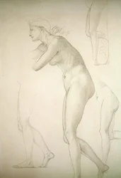 Galatea (tužka na papíře)