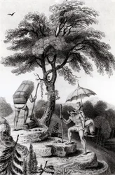 Pohled na průsmyk z Quindio, ilustrace z „Cesty přes vnitrozemské provincie Kolumbie“ od Johna P. Hamiltona, vydáno 1827