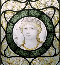 Venuše, 1886