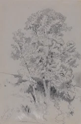 Burpham 4. října 1834
